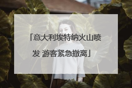 意大利埃特纳火山喷发 游客紧急撤离